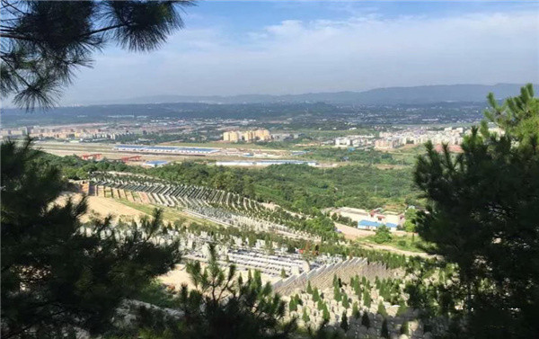 重庆仙友山公墓墓区概览