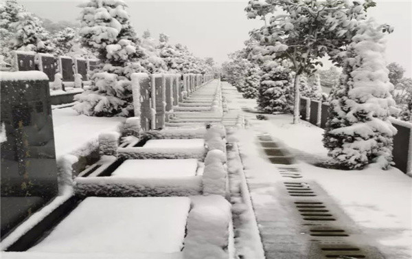 陵园雪景