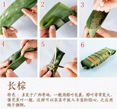 长棕