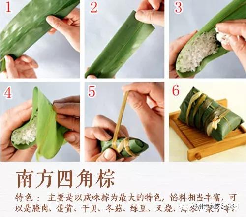 南方四角棕