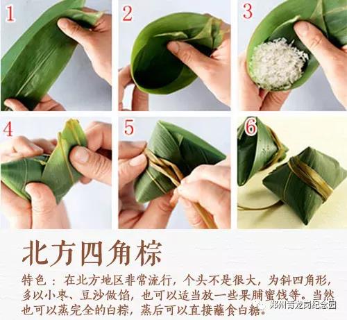北方四角棕