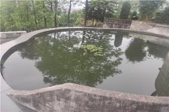 重庆龙台山陵园墓地风水怎么样？