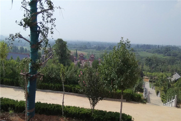 陵园景观