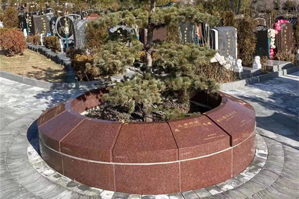 天寿陵园树葬