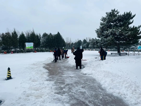 扫雪