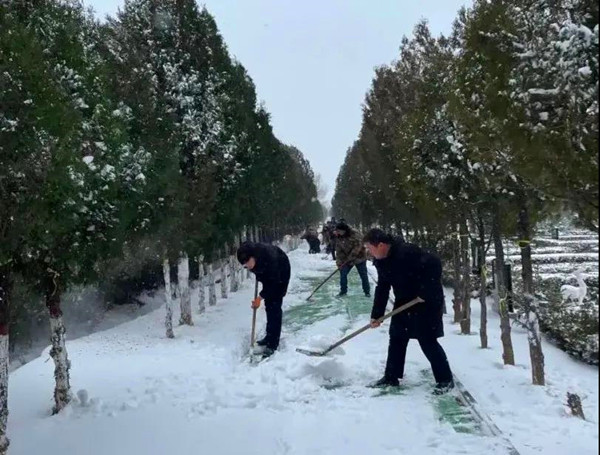 铲雪中