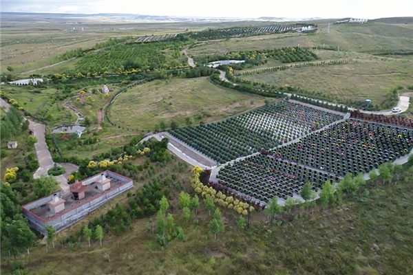 墓区环境