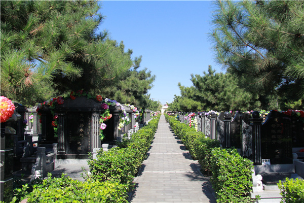 墓区展现