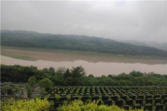 关长山陵园立碑价格起步26800元？