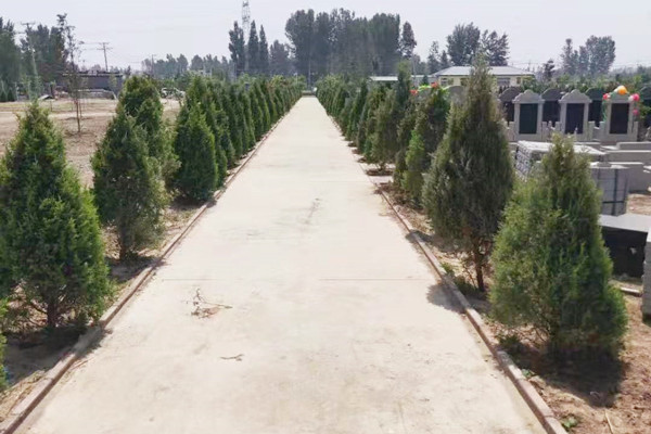 祥鹤园道路景观