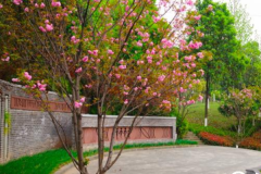 清明节选墓祭扫,重庆哪些墓地陵园周边有游玩地方？