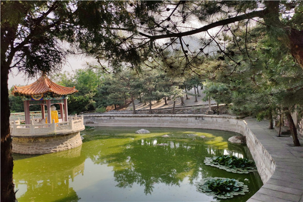 佛山陵园水系景观