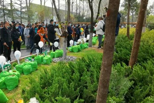 树葬活动
