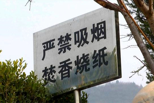 清明祭扫