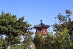 八宝山人民公墓埋的都是什么人？可以进去参观吗？