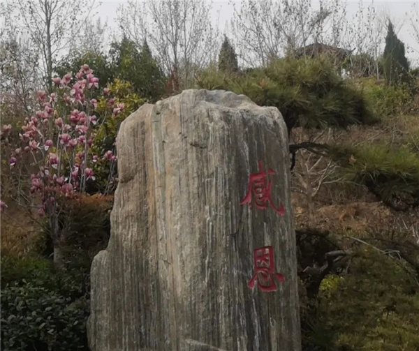 花开时节又逢君