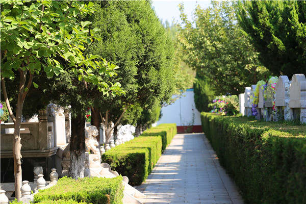 天堂公墓道路景观