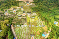 高速方便、风水好的青龙山公墓费用大概多少钱？