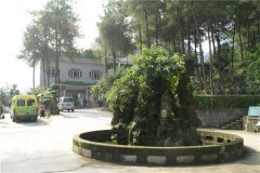 重庆沙坪坝墓地价格对比,屏鼎山墓园和松鹤陵园价格哪个性价比高？