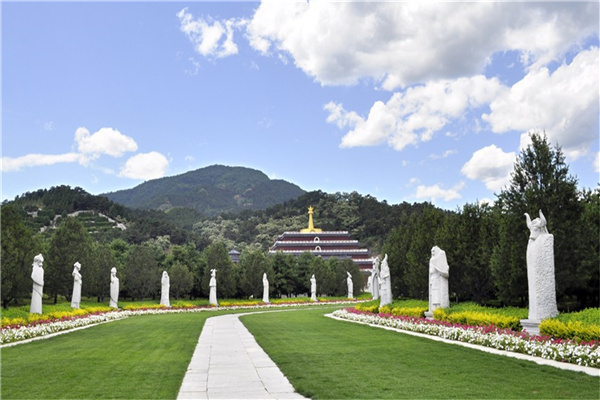陵园风景展示