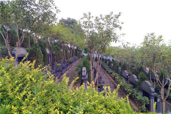 金银山公墓墓区