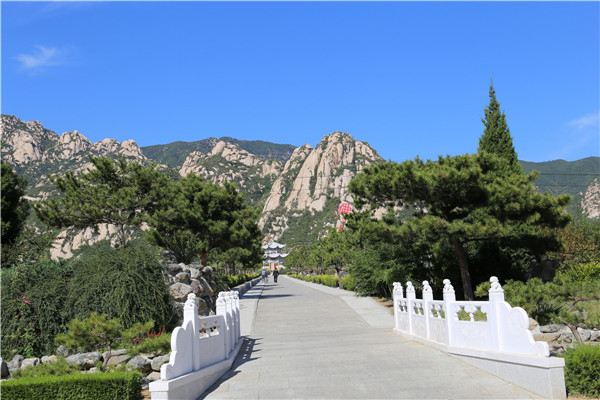 长安园公墓道路