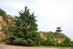 郑州市民公墓邙山墓园怎么样？开放吗？