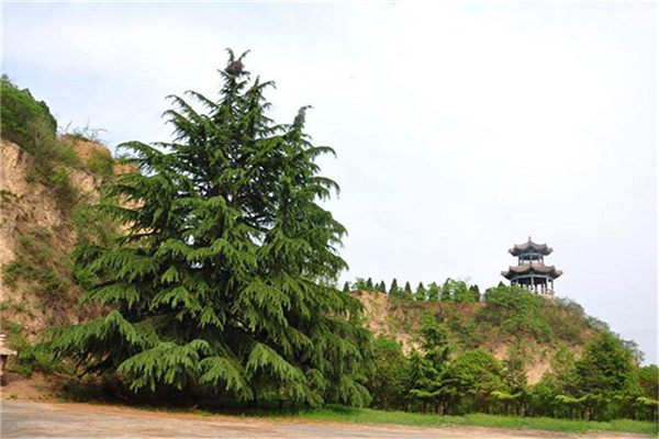 陵园一角风景