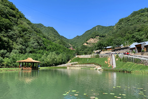 陵园环境