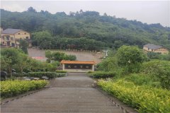 重庆九龙坡墓地价格,九龙坡墓地生态葬和立碑价格多少钱？