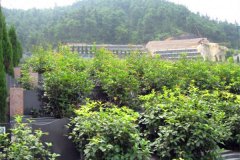 重庆金山陵园公墓电话多少？在哪个位置？