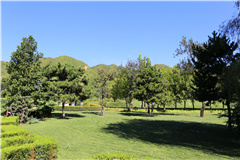 天寿陵园道路风景