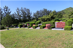 天寿陵园墓区一侧环境