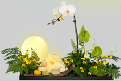 中秋佳节,九公山陵园限定祭扫开启预约