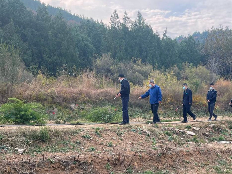 检查二十大期间山林防火工作