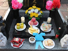官厅中华永久陵园寒衣祭祖,遥寄哀思