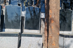 北京昌平九里山公墓二区多少钱？普通人能买的起吗