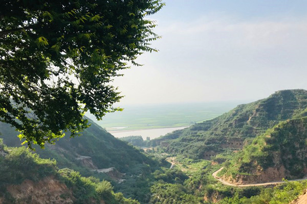 陵园风景
