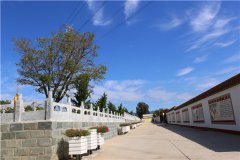 在九里山公墓二区为爷爷选择一个墓地
