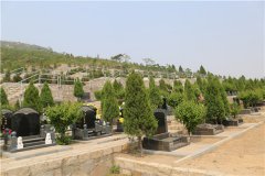 重庆九龙坡树葬墓地在哪里？墓地价格多少钱？