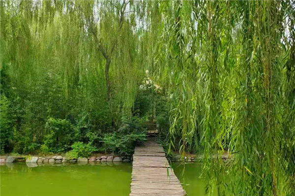 绿化景观