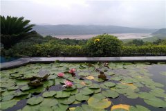 重庆墓地价格表,重庆南岸公墓一览表？