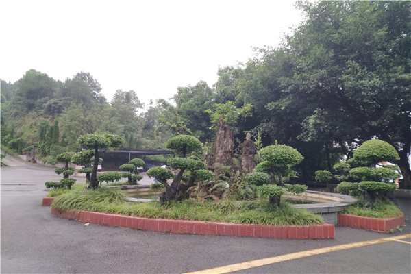 绿化景观