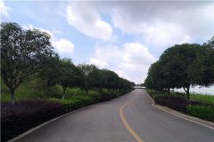 重庆沙坪坝区金竹山公墓怎么样？价格起步是多少钱？