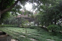 重庆飞来寺公墓价格起步20000元,墓地价格表最新