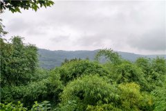 千福山陵园墓地价格表最新（2023年）