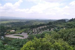 重庆墓地价格-巴南墓地价格表最新