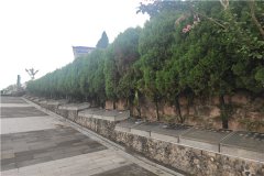 重庆沙坪坝金竹山公墓简介