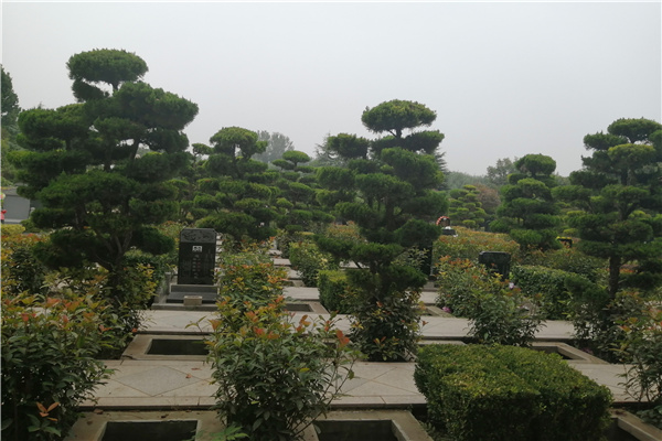 绿化