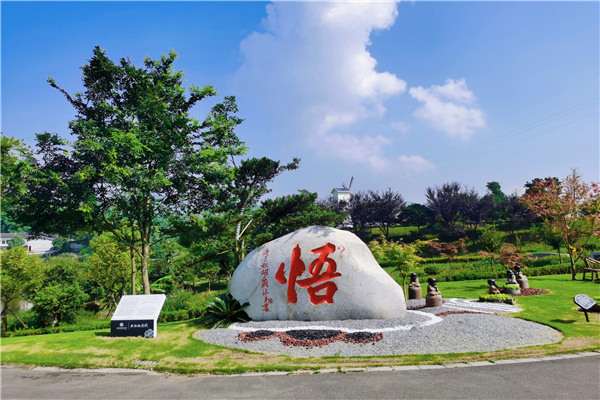 悟